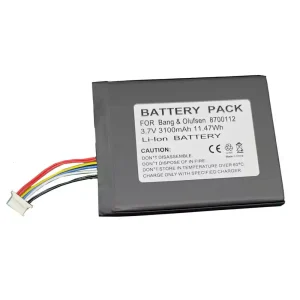 Baterai speaker Bang & Olufsen BeoSound Moment,8700112